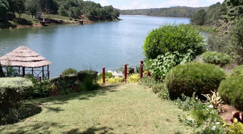 51e8bab8-3b94-4dcc-b10a-defddff29dcf