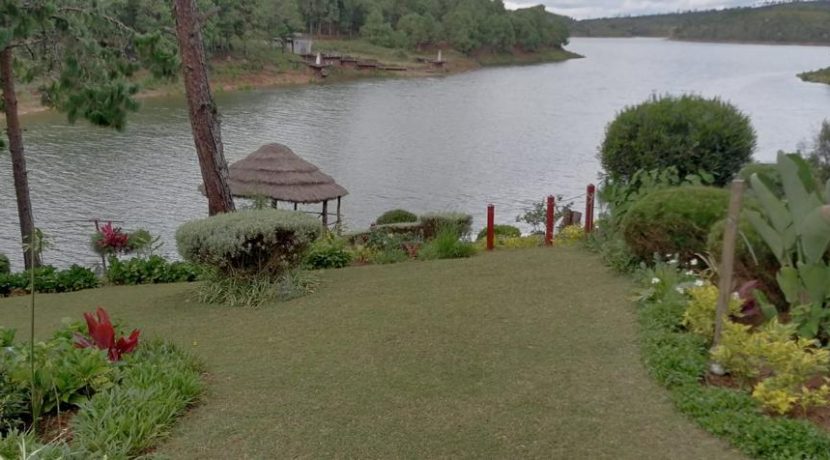 e332325a-0a3b-44f9-8364-f45fb2d64d63