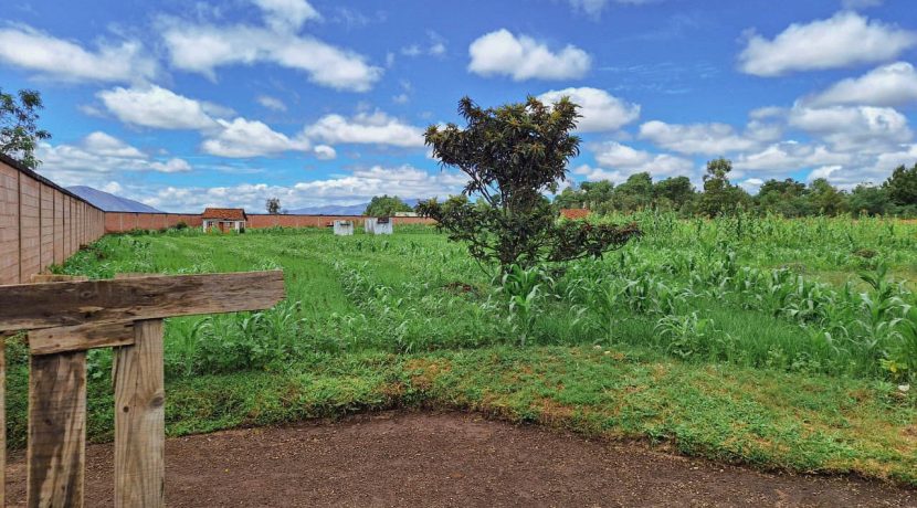 93f81357-052b-460b-897e-3252ccdec47d