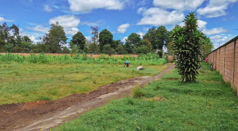 d791413e-03f5-45bd-b02d-8214e243f112