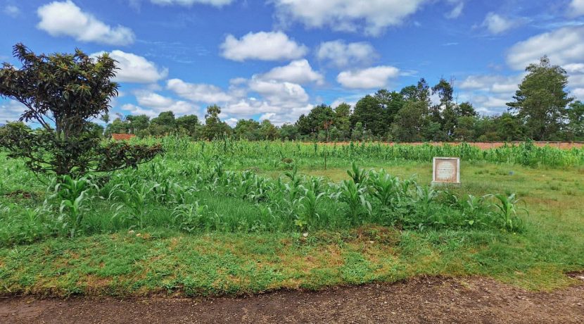 df2bb3fe-07e4-43a7-97c7-92d6341a76fb