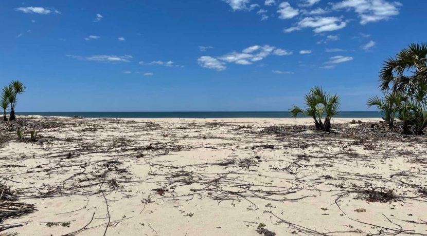 03de3777-50ab-4fd1-87b0-110c23a2e482