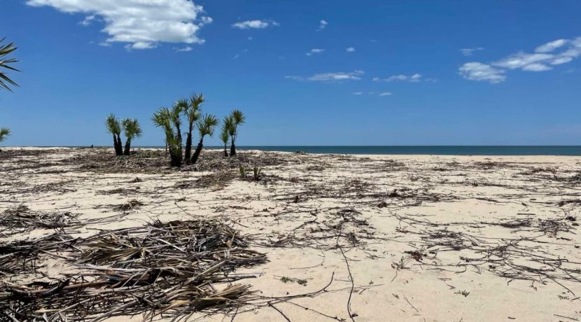 04d8b361-7f75-4c0f-99b2-7bbbbd411d48