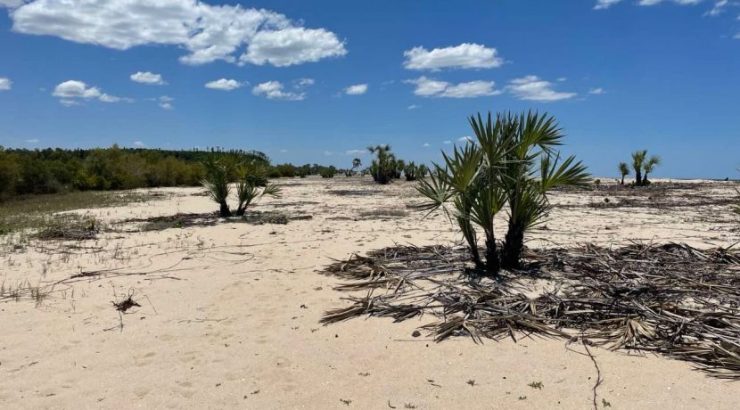 2c1b24d2-7e7b-41c4-88d4-b65db3bb89f3