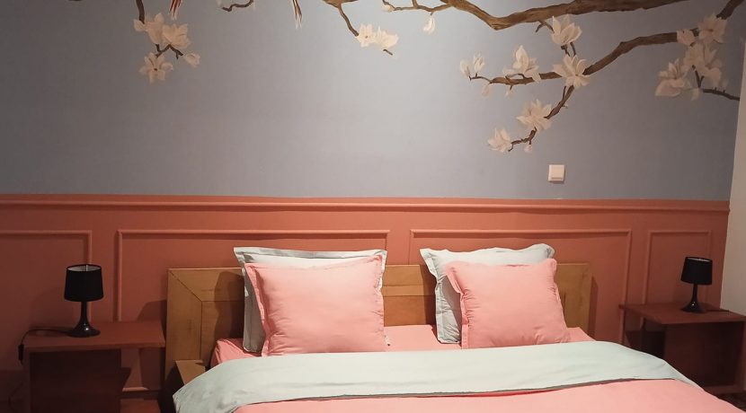 334993413_973297640713913_268614505437995903_n