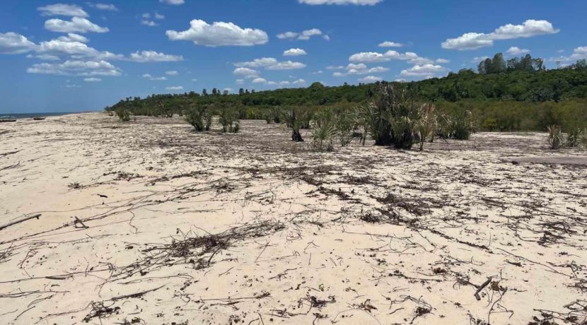 995ce074-c1fc-4853-acdd-382e825b8fce