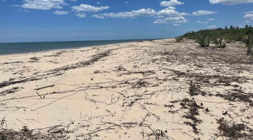 9b8c690f-3e94-4234-8913-e0e9061870d5