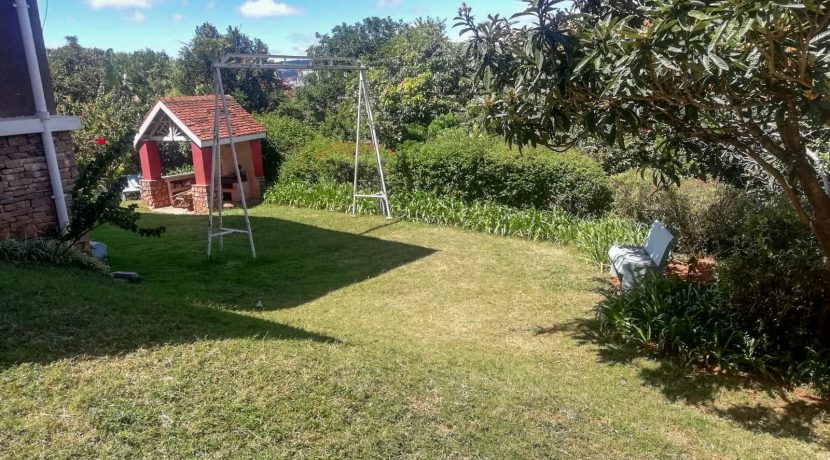 e05145ca-84ba-4956-8c86-eebfb1791316