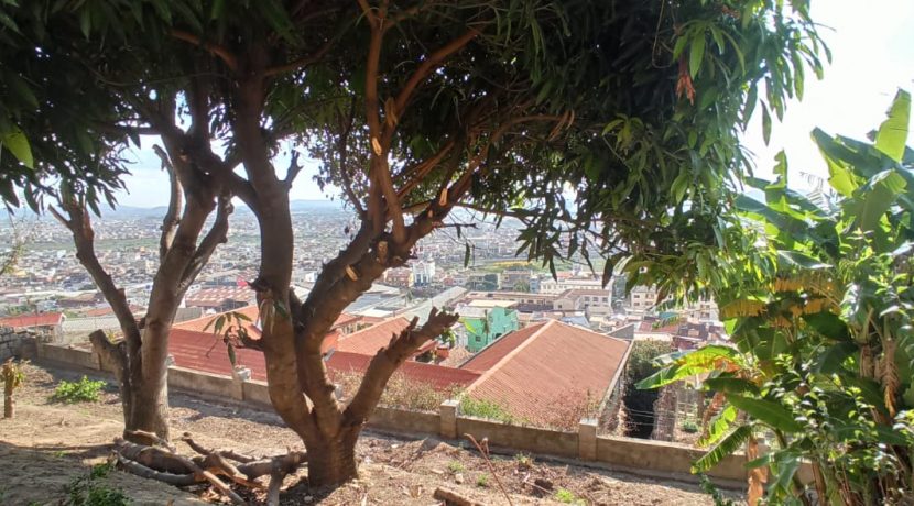 7580cf00-eb12-483d-aabc-1fe0781248d8