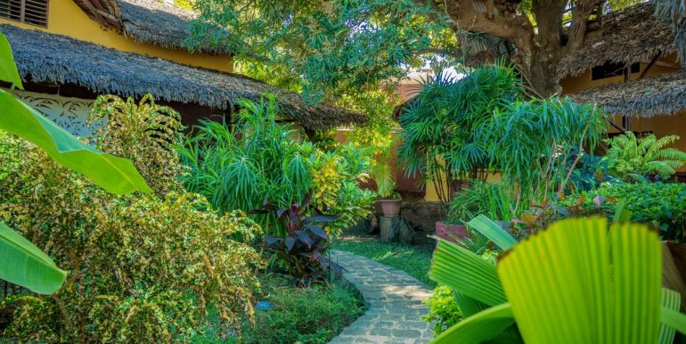 jardin-vers-grande-maison-scaled
