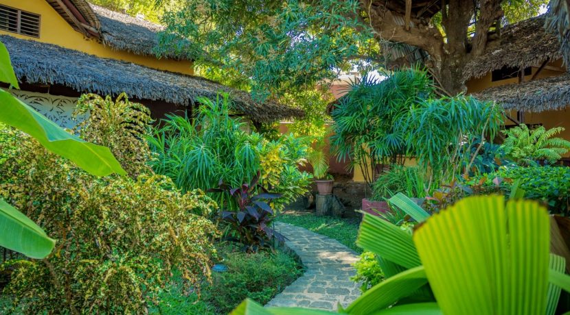 jardin-vers-grande-maison-scaled