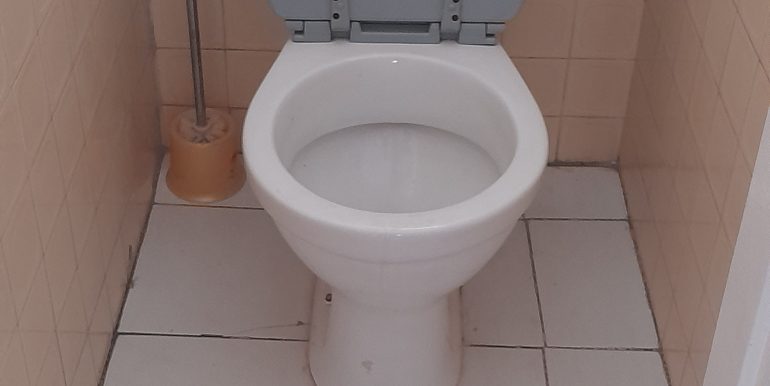 20241022_103327