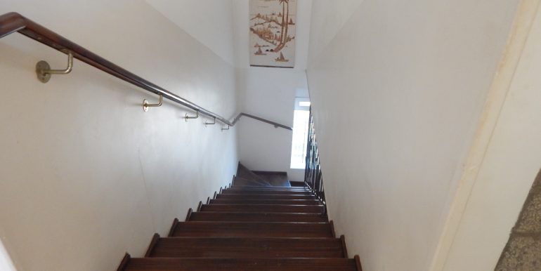 DSCN3582