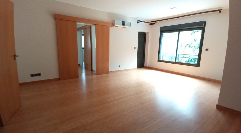 IMG_20250327_111648870