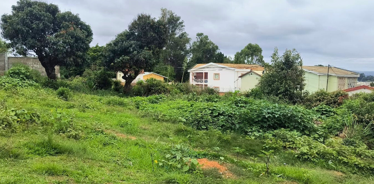 Terrain 905 m², Ankadindravola, T 050125 1