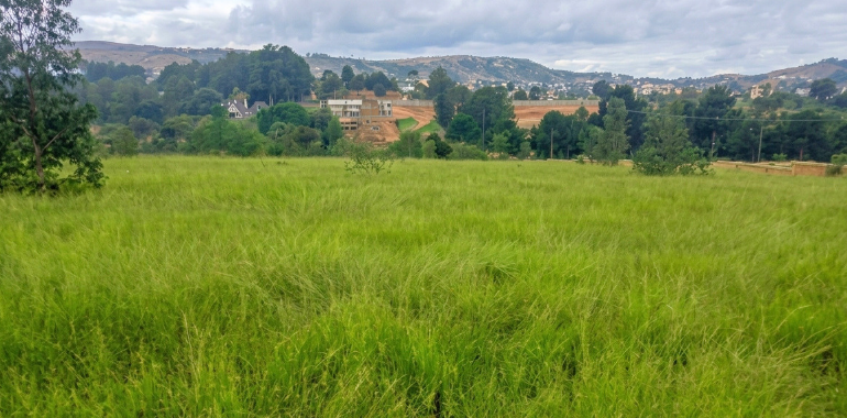 Terrain 59 000 m² à vendre à Ambohimalaza